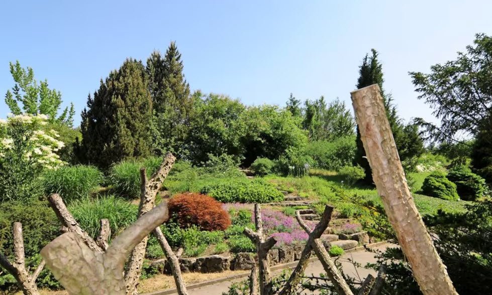 Forestry Botanical Garden and Arboretum, Göttingen, Germany, Germany